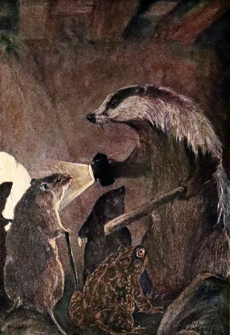 1913 First Edition illustrated by Paul BRANSOM - The WIND IN THE WILLOWS by K. Grahame.