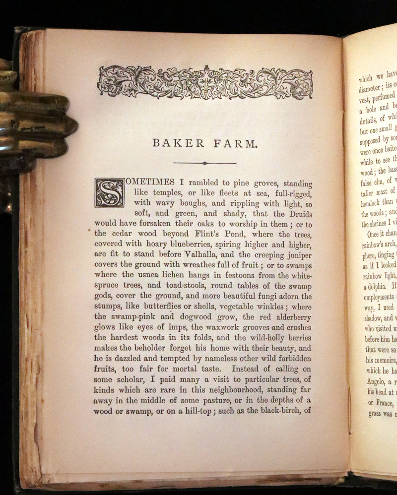 1886 Rare Victorian Book - WALDEN by Henry David THOREAU With an Introductory Note by Will H. Dircks.