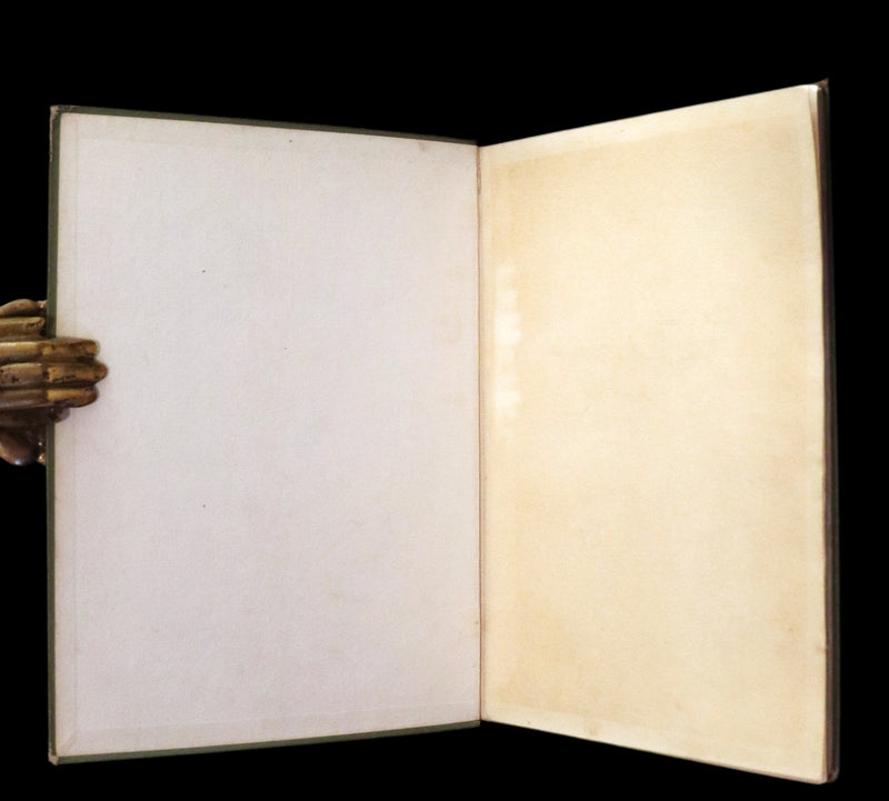 1909 Rare First Edition - The Forest Foundling by Sam Hield Hamer illustrated by Harry Rountree.