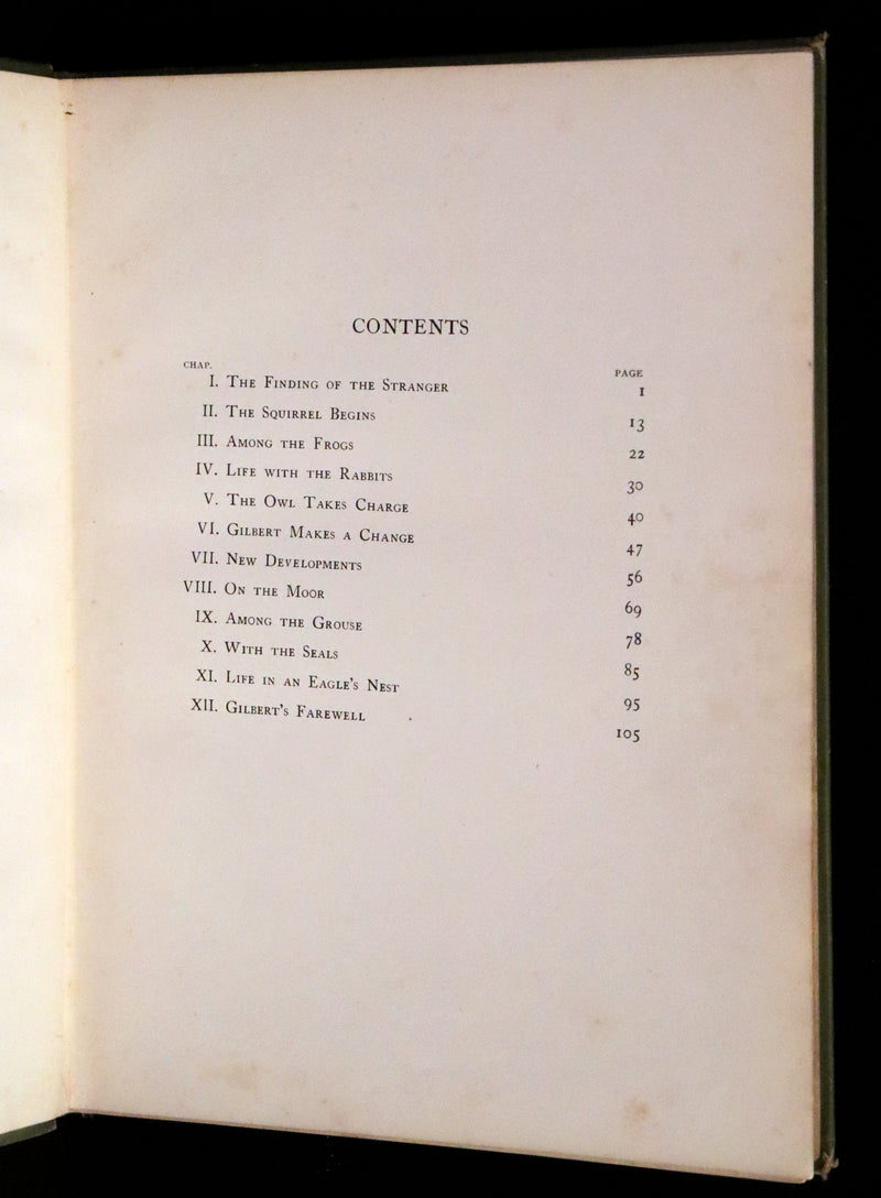 1909 Rare First Edition - The Forest Foundling by Sam Hield Hamer illustrated by Harry Rountree.