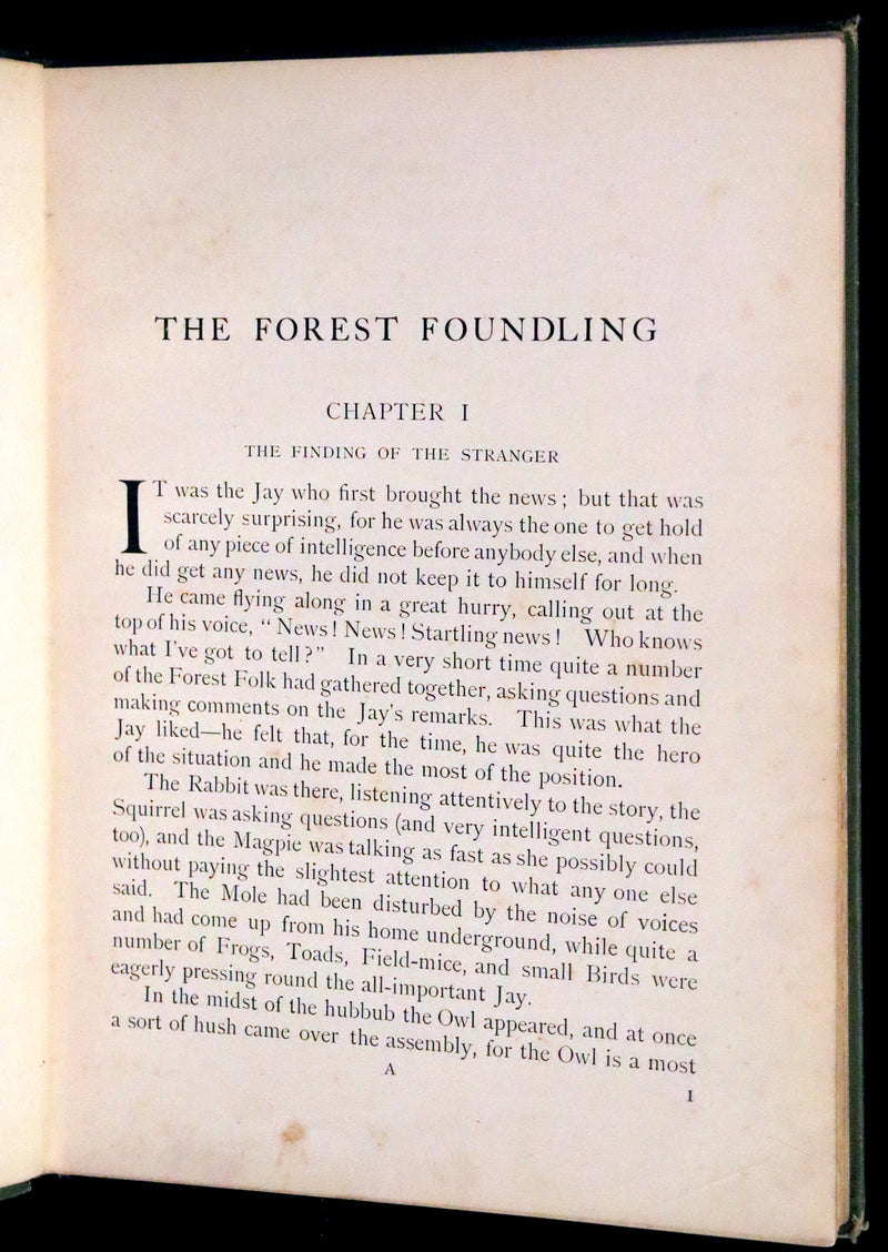 1909 Rare First Edition - The Forest Foundling by Sam Hield Hamer illustrated by Harry Rountree.