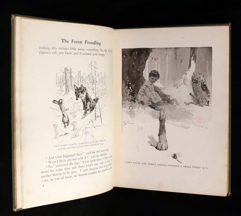 1909 Rare First Edition - The Forest Foundling by Sam Hield Hamer illustrated by Harry Rountree.