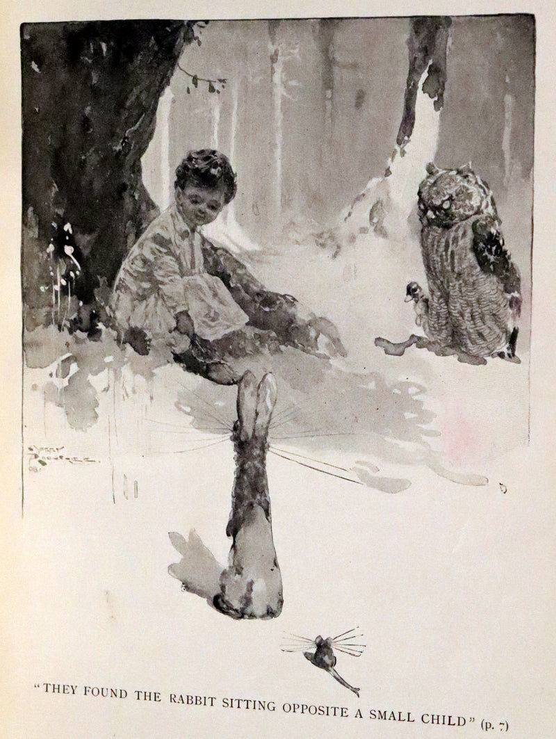1909 Rare First Edition - The Forest Foundling by Sam Hield Hamer illustrated by Harry Rountree.