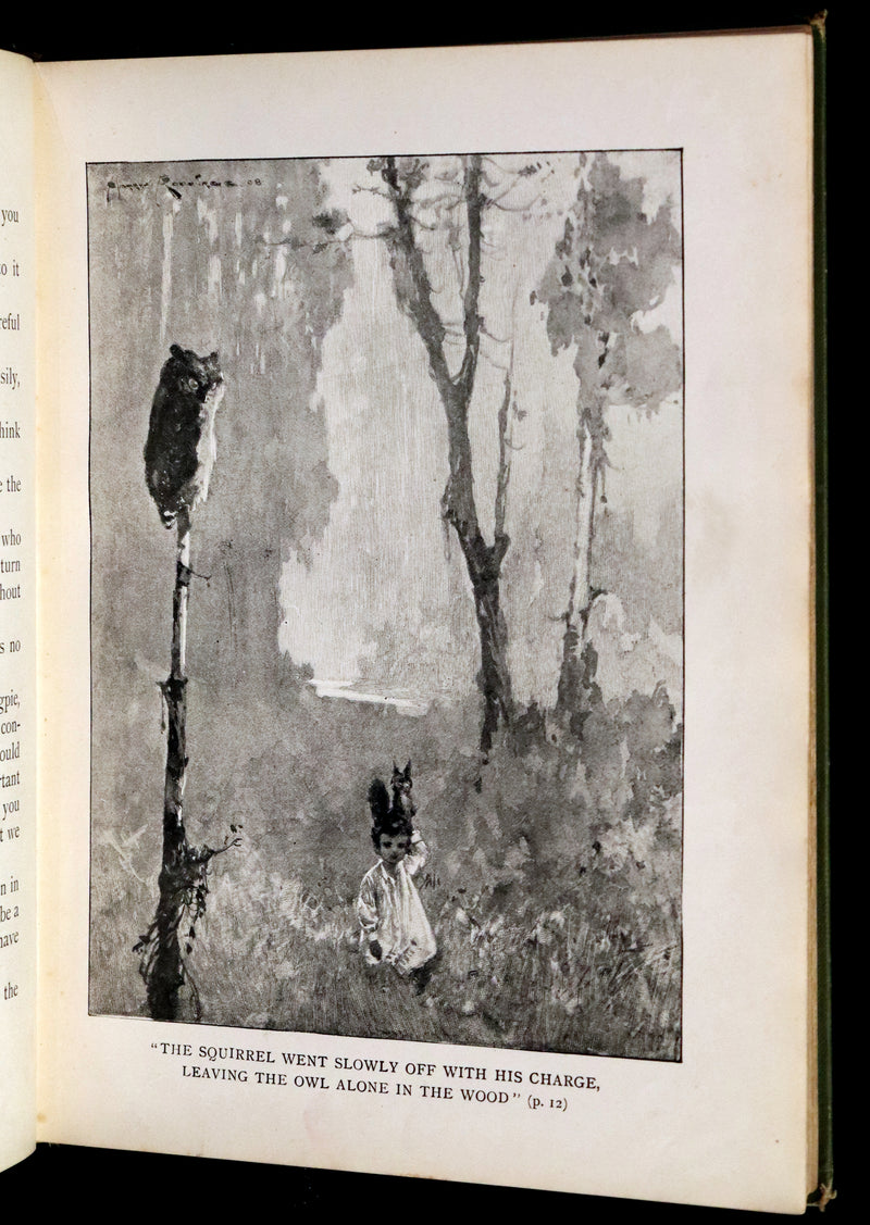 1909 Rare First Edition - The Forest Foundling by Sam Hield Hamer illustrated by Harry Rountree.