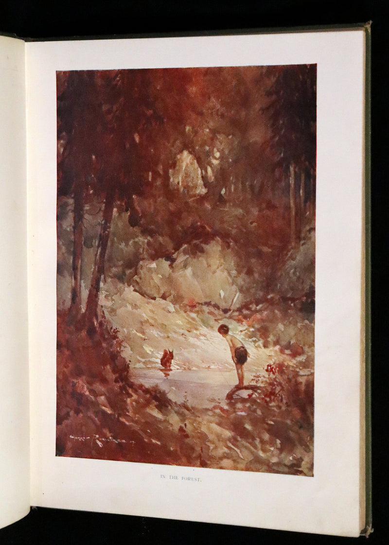 1909 Rare First Edition - The Forest Foundling by Sam Hield Hamer illustrated by Harry Rountree.