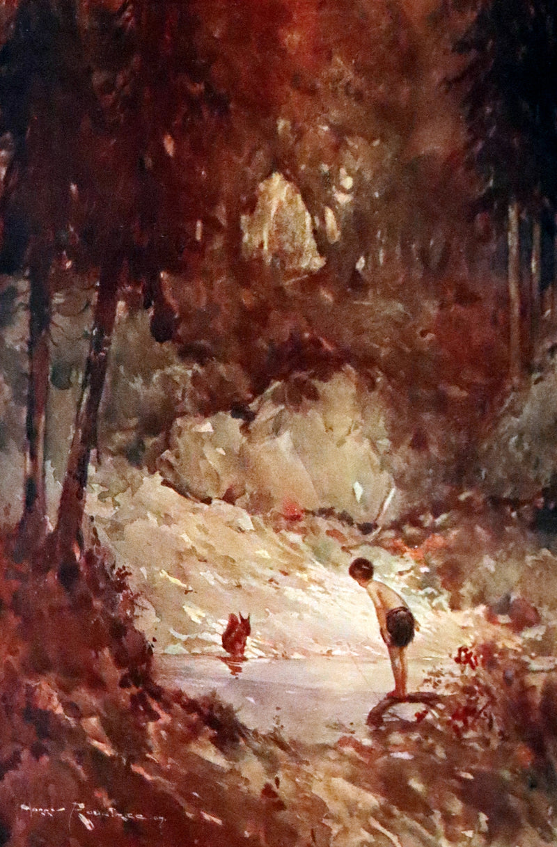 1909 Rare First Edition - The Forest Foundling by Sam Hield Hamer illustrated by Harry Rountree.