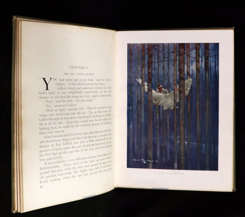 1909 Rare First Edition - The Forest Foundling by Sam Hield Hamer illustrated by Harry Rountree.