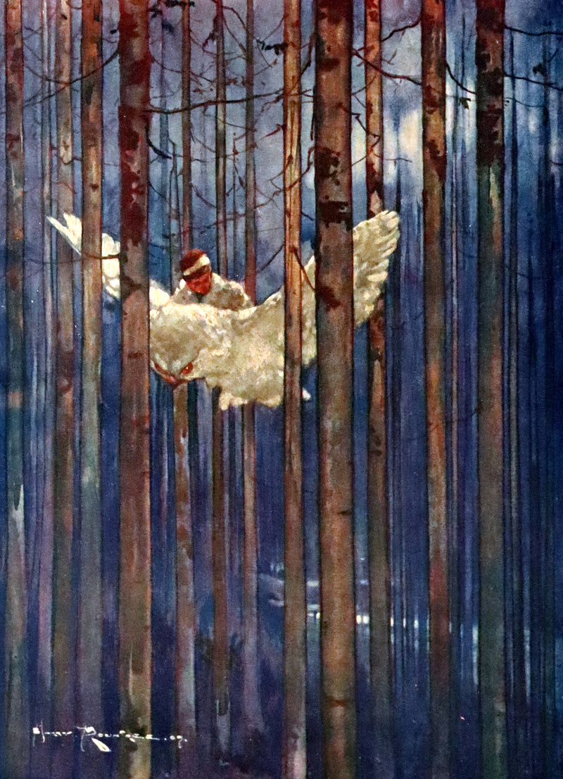 1909 Rare First Edition - The Forest Foundling by Sam Hield Hamer illustrated by Harry Rountree.