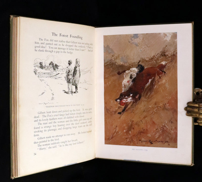 1909 Rare First Edition - The Forest Foundling by Sam Hield Hamer illustrated by Harry Rountree.