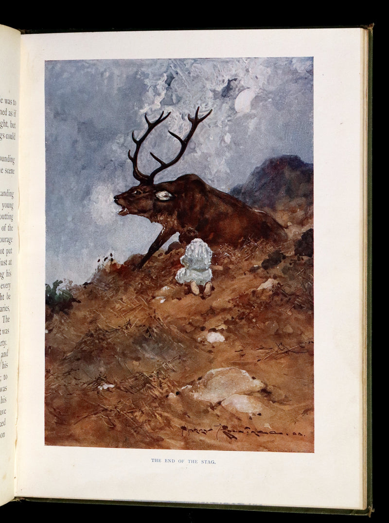 1909 Rare First Edition - The Forest Foundling by Sam Hield Hamer illustrated by Harry Rountree.