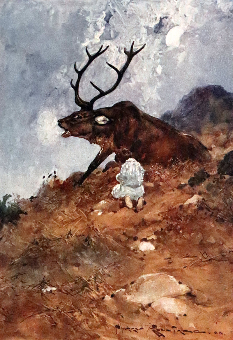 1909 Rare First Edition - The Forest Foundling by Sam Hield Hamer illustrated by Harry Rountree.