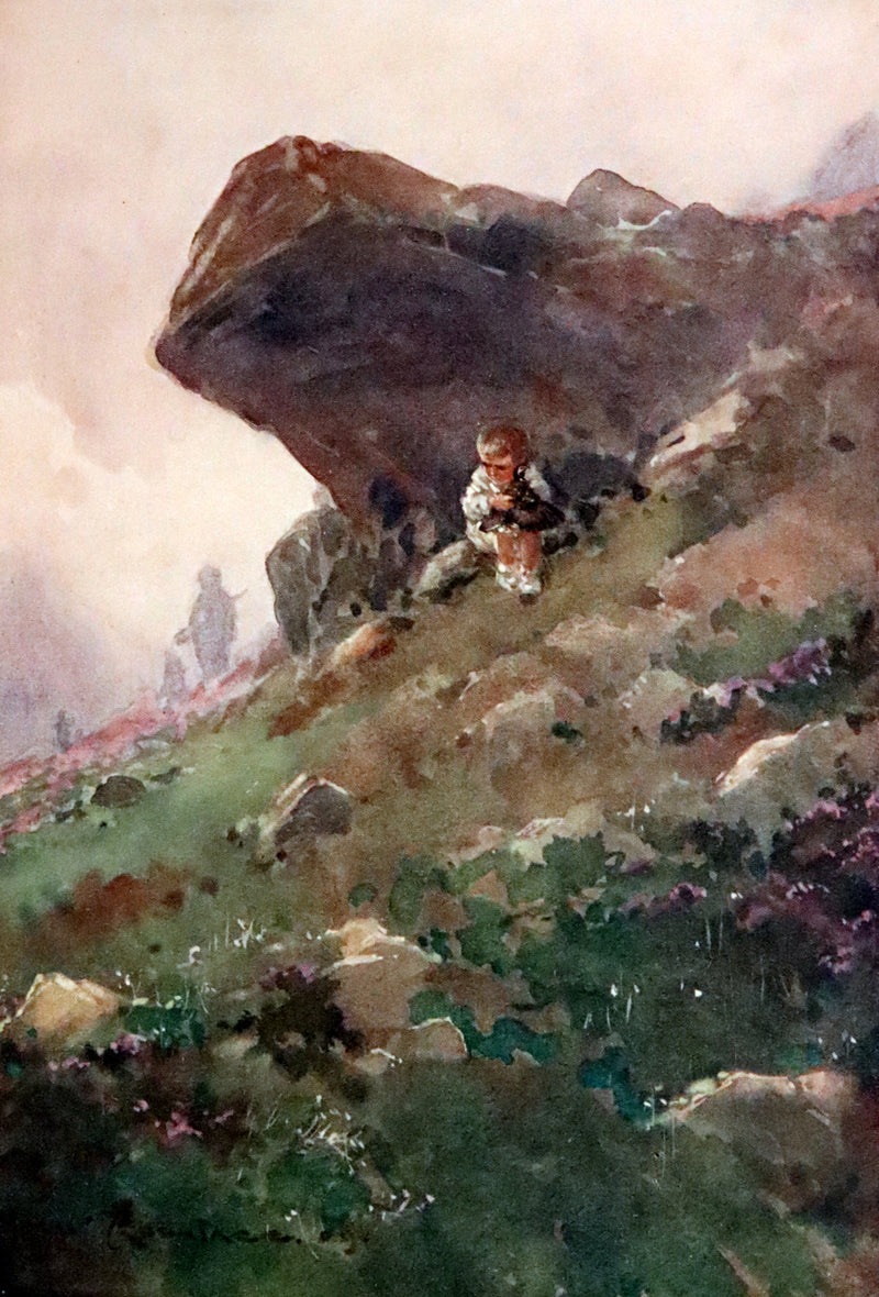 1909 Rare First Edition - The Forest Foundling by Sam Hield Hamer illustrated by Harry Rountree.