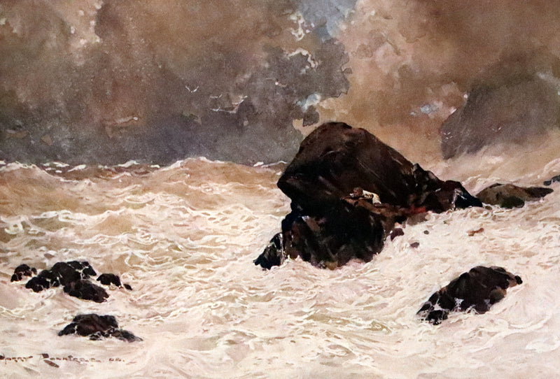 1909 Rare First Edition - The Forest Foundling by Sam Hield Hamer illustrated by Harry Rountree.