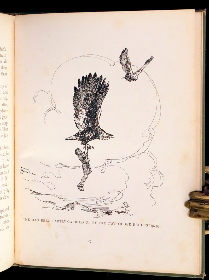 1909 Rare First Edition - The Forest Foundling by Sam Hield Hamer illustrated by Harry Rountree.