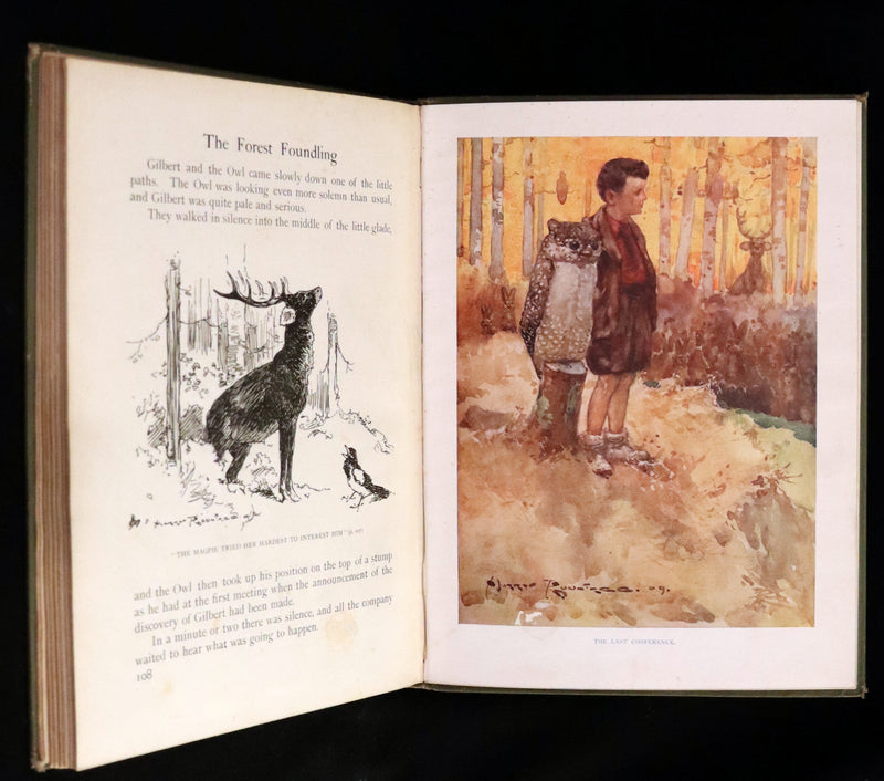 1909 Rare First Edition - The Forest Foundling by Sam Hield Hamer illustrated by Harry Rountree.