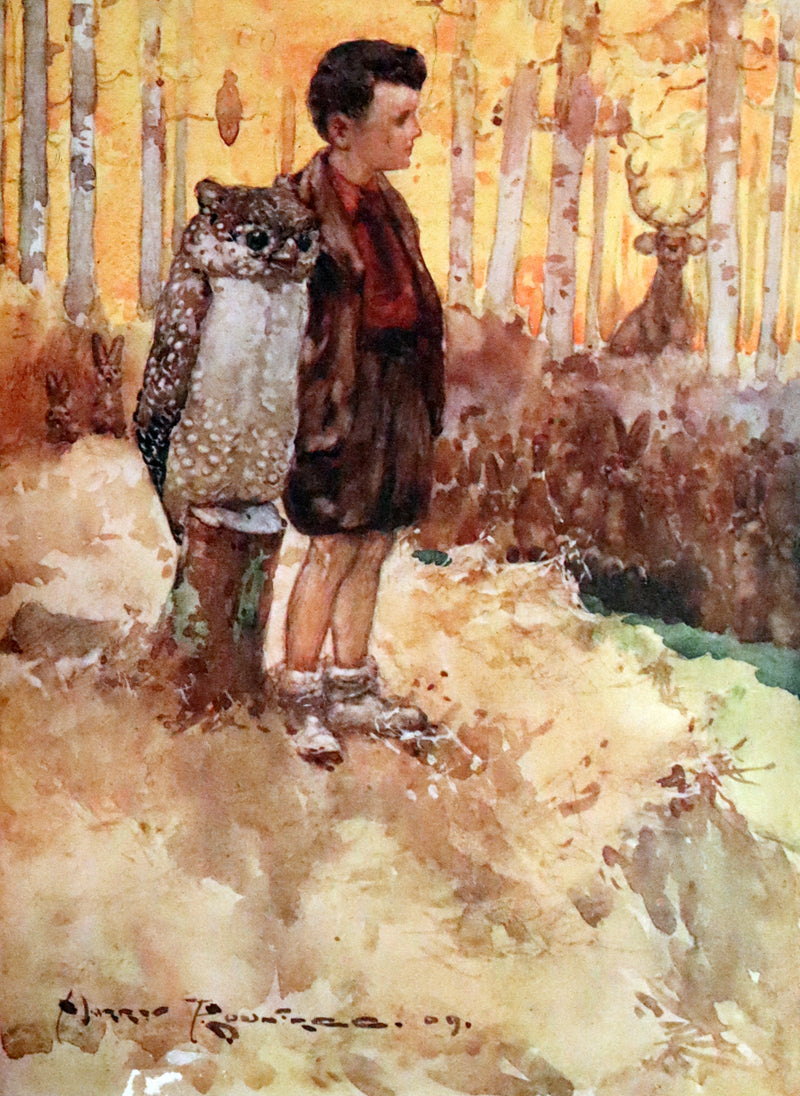 1909 Rare First Edition - The Forest Foundling by Sam Hield Hamer illustrated by Harry Rountree.