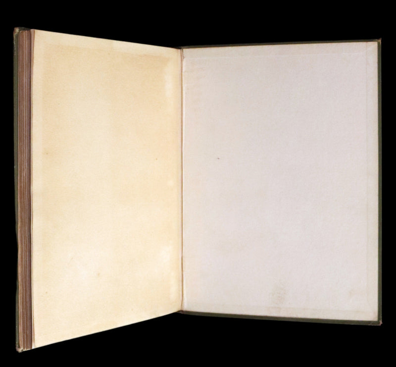 1909 Rare First Edition - The Forest Foundling by Sam Hield Hamer illustrated by Harry Rountree.