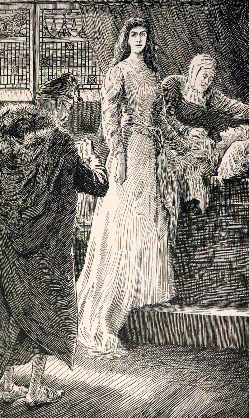 1890 Scarce Book - THE LIGHT PRINCESS and Other Fairy Stories by George Macdonald.