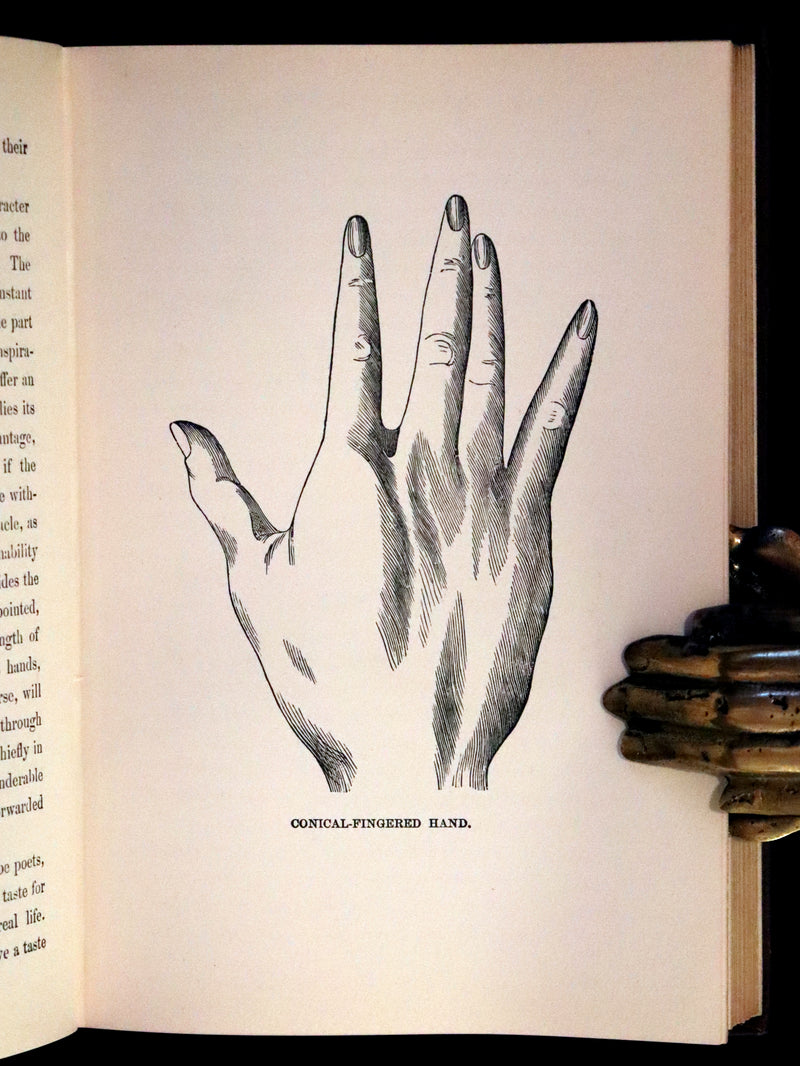 1880 Scarce Book - Your Luck's in your Hand, PALMISTRY with some account of the Gipsies