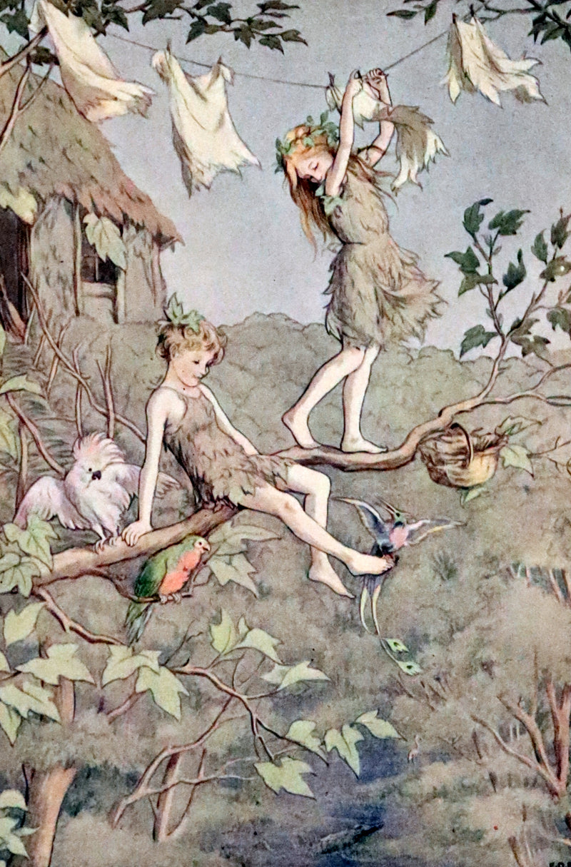 1911 Scarce PETER PAN Edition - Peter and Wendy by J.M. Barrie illustrated by F.D. Bedford with Tipped-in Color Frontispiece.