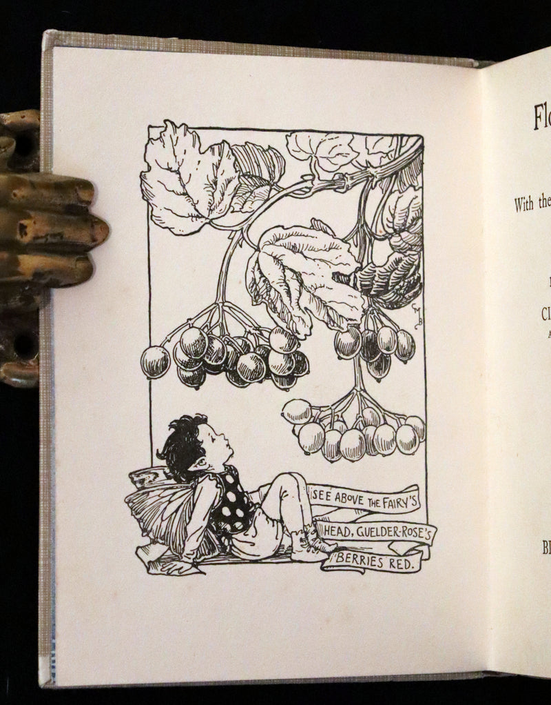 1930 Rare Book - Cicely Mary Barker - FLOWER FAIRIES OF THE AUTUMN.