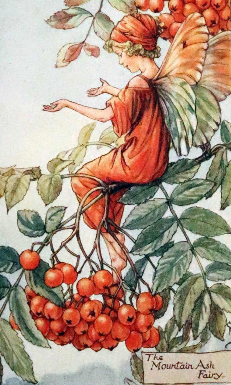 1930 Rare Book - Cicely Mary Barker - FLOWER FAIRIES OF THE AUTUMN.