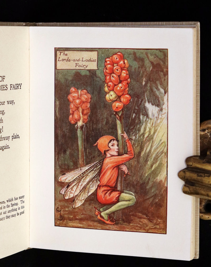 1930 Rare Book - Cicely Mary Barker - FLOWER FAIRIES OF THE AUTUMN.