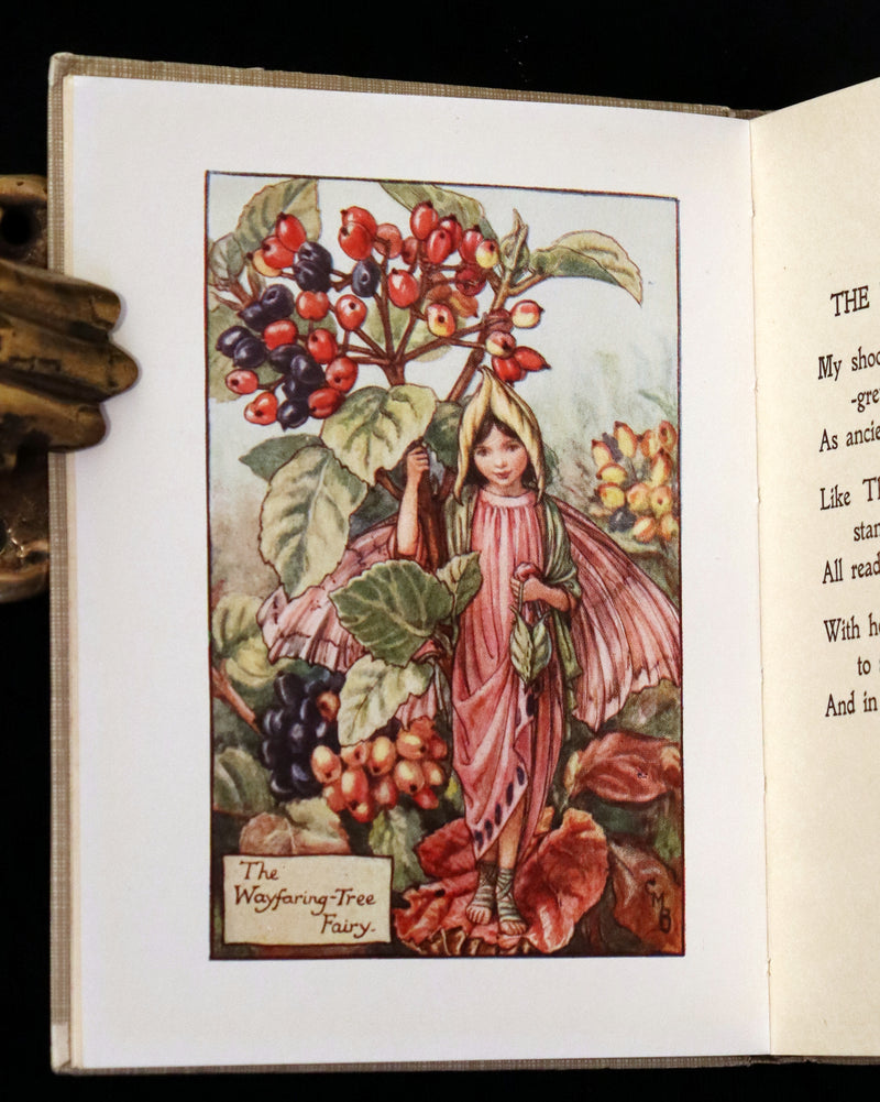 1930 Rare Book - Cicely Mary Barker - FLOWER FAIRIES OF THE AUTUMN.