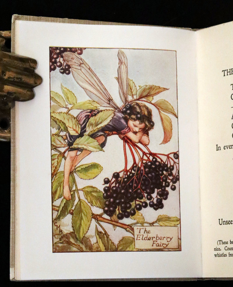 1930 Rare Book - Cicely Mary Barker - FLOWER FAIRIES OF THE AUTUMN.
