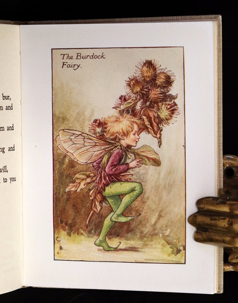 1930 Rare Book - Cicely Mary Barker - FLOWER FAIRIES OF THE AUTUMN.