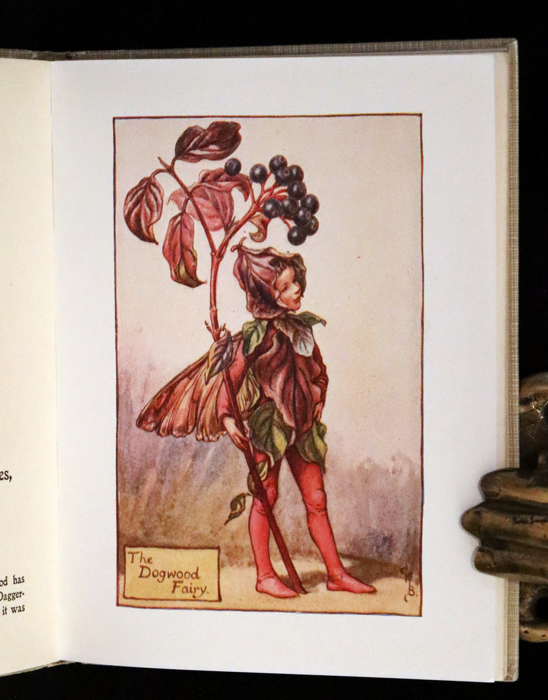 1930 Rare Book - Cicely Mary Barker - FLOWER FAIRIES OF THE AUTUMN.