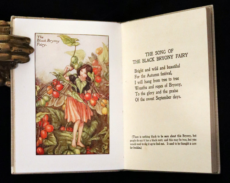1930 Rare Book - Cicely Mary Barker - FLOWER FAIRIES OF THE AUTUMN.
