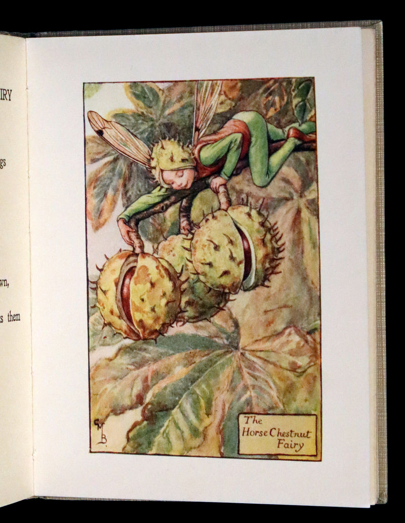 1930 Rare Book - Cicely Mary Barker - FLOWER FAIRIES OF THE AUTUMN.