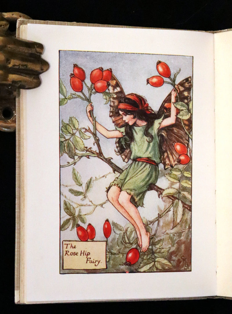 1930 Rare Book - Cicely Mary Barker - FLOWER FAIRIES OF THE AUTUMN.