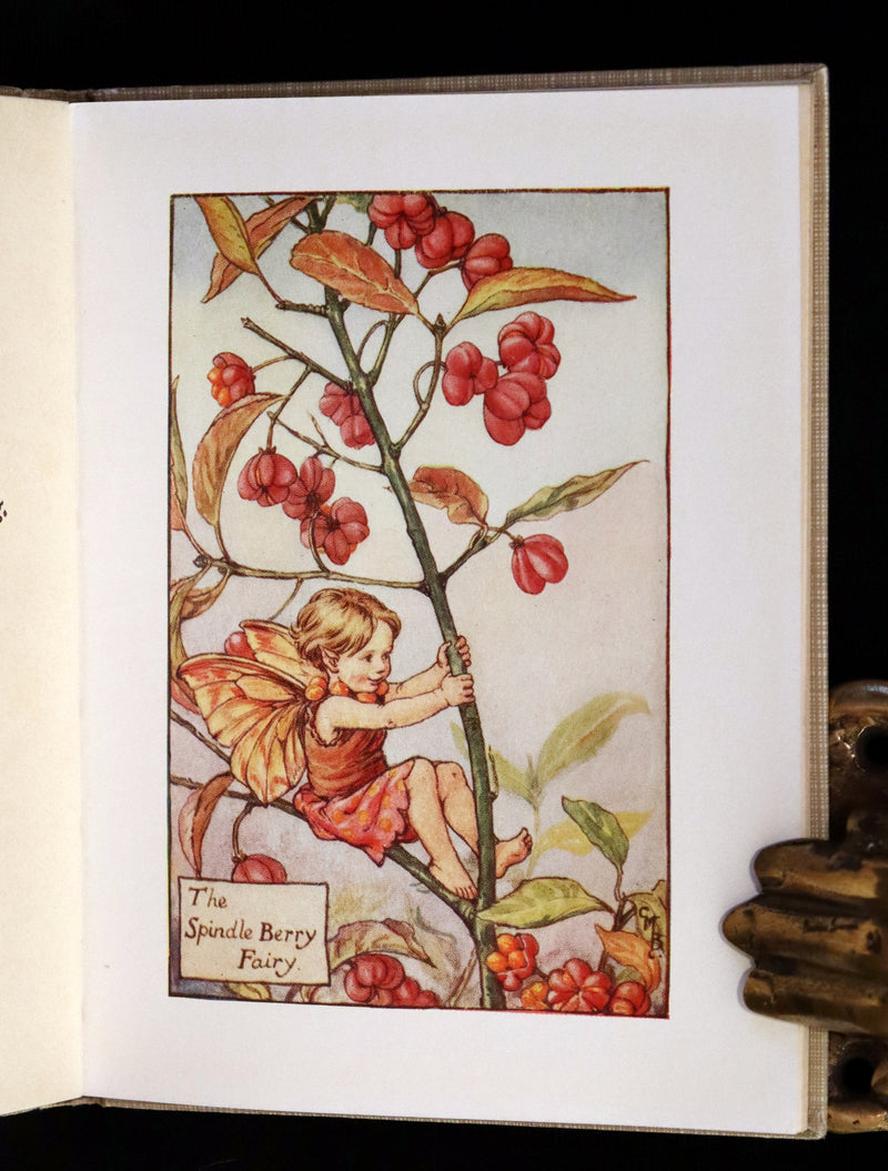 1930 Rare Book - Cicely Mary Barker - FLOWER FAIRIES OF THE AUTUMN.