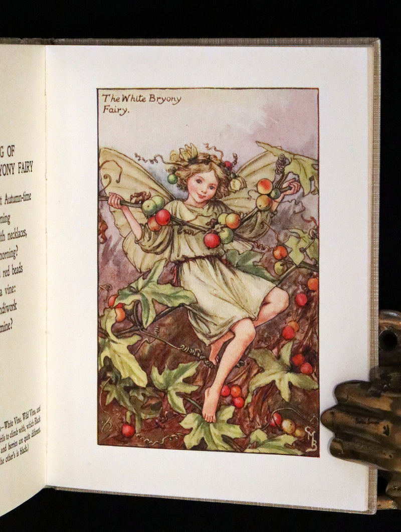 1930 Rare Book - Cicely Mary Barker - FLOWER FAIRIES OF THE AUTUMN.