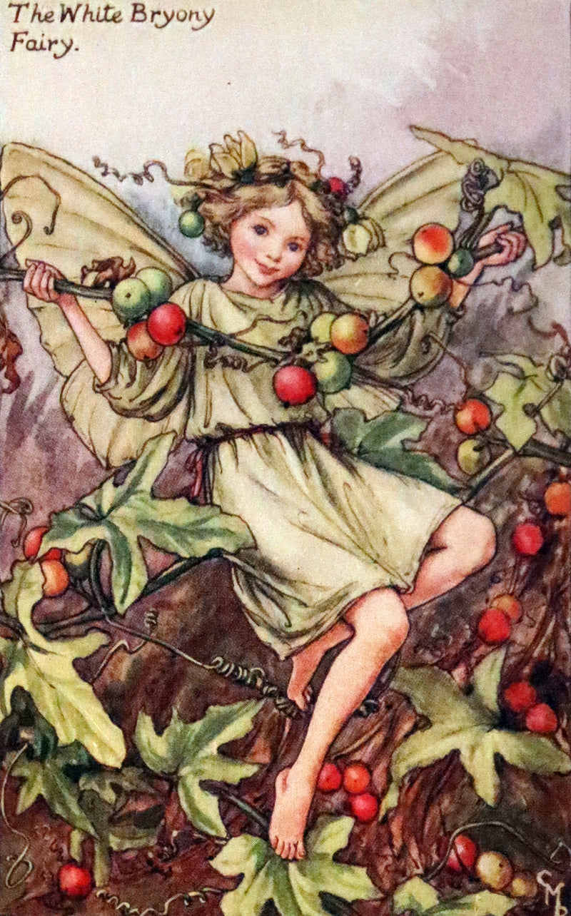 1930 Rare Book - Cicely Mary Barker - FLOWER FAIRIES OF THE AUTUMN.