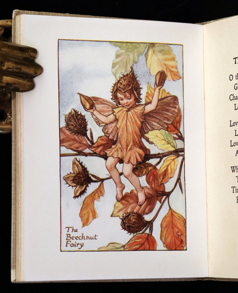 1930 Rare Book - Cicely Mary Barker - FLOWER FAIRIES OF THE AUTUMN.