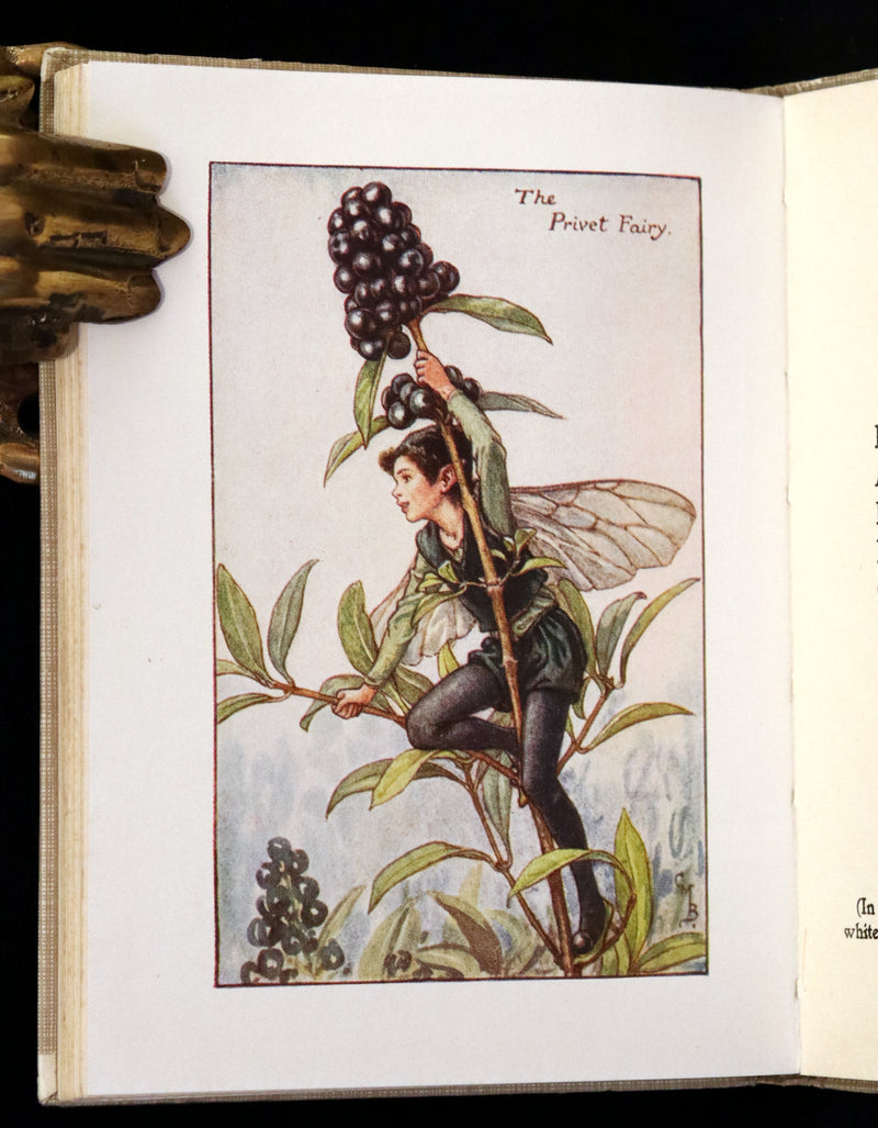 1930 Rare Book - Cicely Mary Barker - FLOWER FAIRIES OF THE AUTUMN.