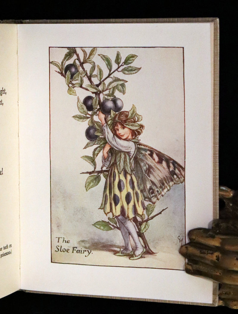 1930 Rare Book - Cicely Mary Barker - FLOWER FAIRIES OF THE AUTUMN.
