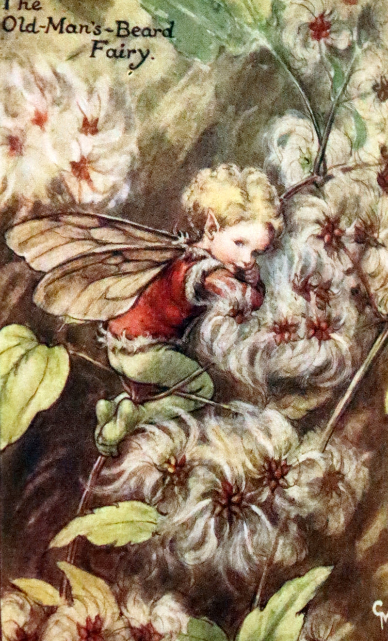 1930 Rare Book - Cicely Mary Barker - FLOWER FAIRIES OF THE AUTUMN.