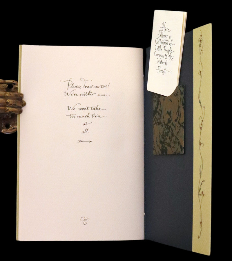 2016 Scarce First Edition - Letters From Fairyland by Charles van Sandwyk.