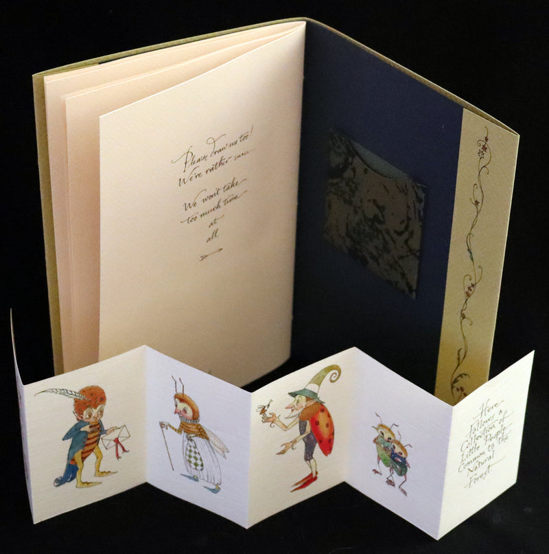 2016 Scarce First Edition - Letters From Fairyland by Charles van Sandwyk.