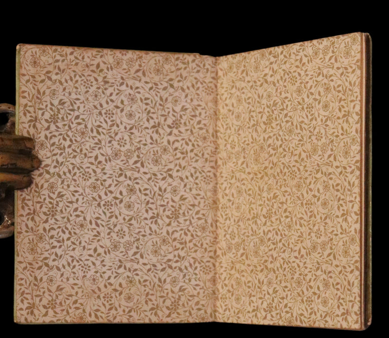 1880 Rare Book Edition - Puss in Boots Illustrated in color by Edward Killingworth Johnson.