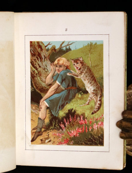 1880 Rare Book Edition - Puss in Boots Illustrated in color by Edward Killingworth Johnson.