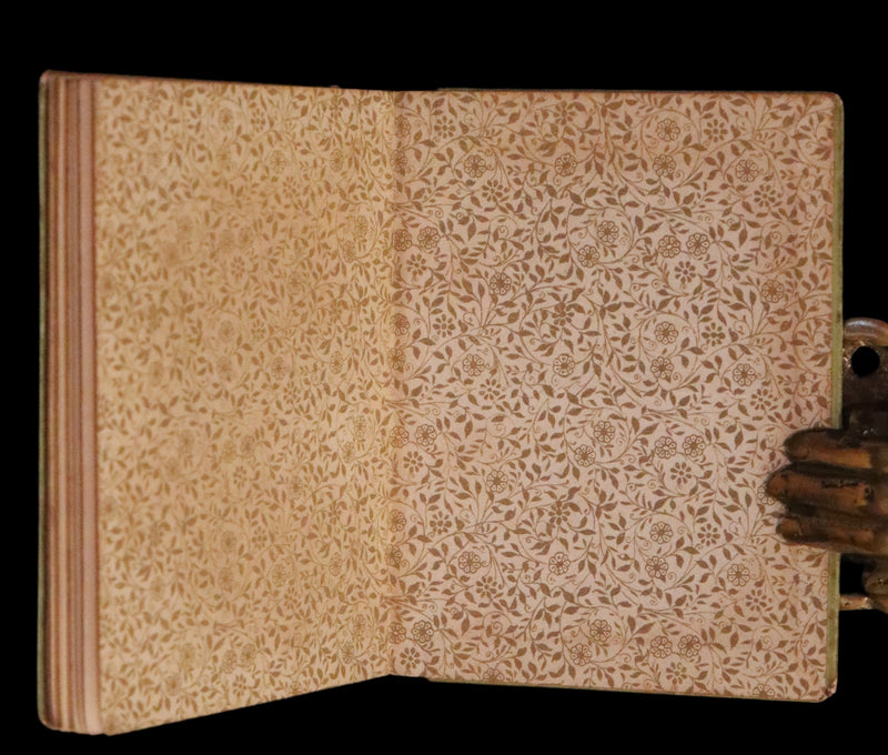 1880 Rare Book Edition - Puss in Boots Illustrated in color by Edward Killingworth Johnson.