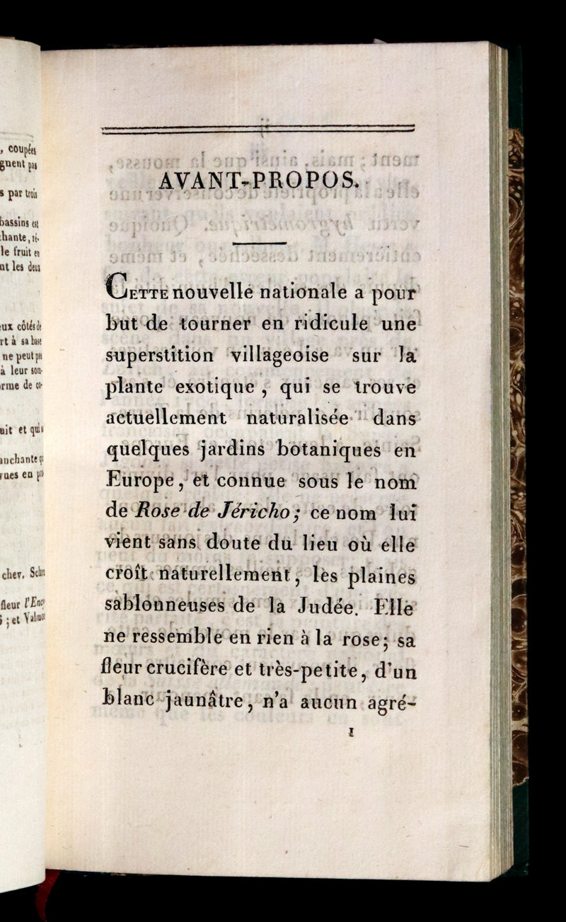 1876 Scarce French First Edition on Resurrection Plant - Rose of Jericho by David Hess.