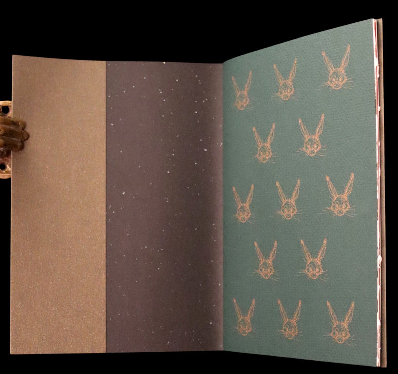 2007 Scarce Signed First Edition - Mr. Rabbit's Christmas Wish Translated for Humans by Charles van Sandwyk.