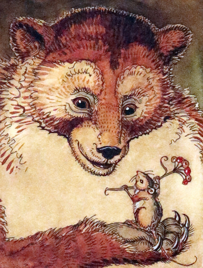 2007 Scarce Signed First Edition - Mr. Rabbit's Christmas Wish Translated for Humans by Charles van Sandwyk.