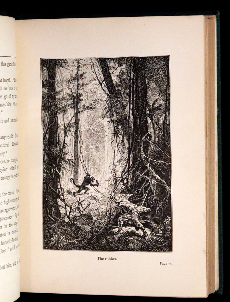 1885 Rare Complete set - Jules Verne The Giant Raft I & II. Eight Hundred Leagues on the Amazon & The Cryptogram.
